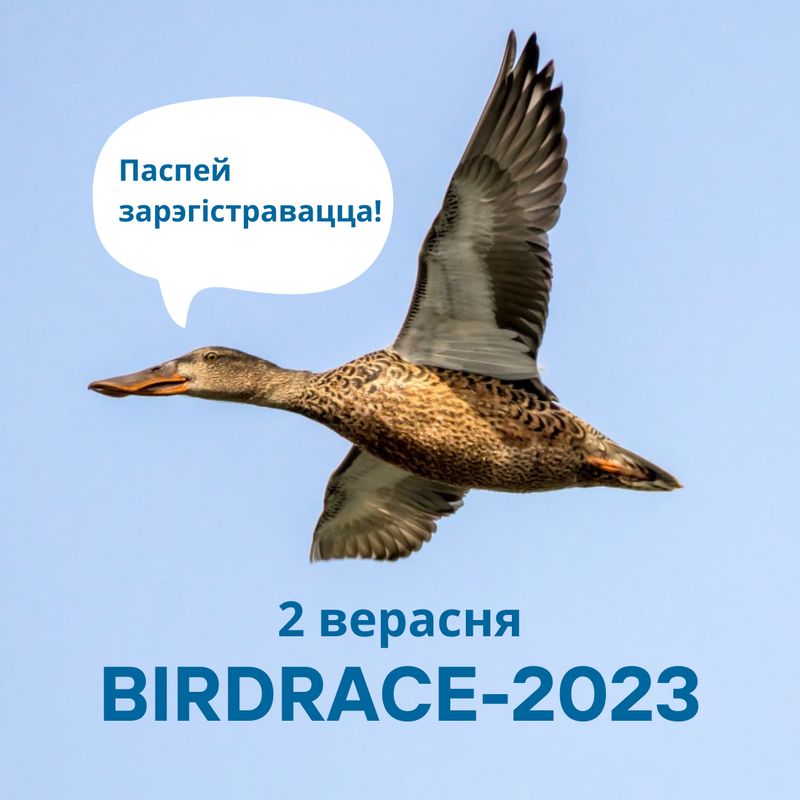 BirdRace-2023
